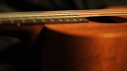 Ukulele Stock Footage