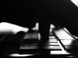 Typing fingers push notebook Silhouette Stock Footage