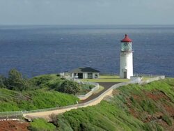 MS Shot of Path to Kilauea Lighthouse / Kilauea, Kauai, Kauai, Hawaii, United States Stock Footage