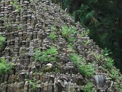 MS Stone carvings at okunoin in mountain / Kouya, Wakayama, Japan Stock Footage
