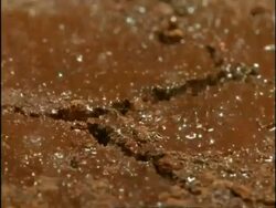 CU Heavy rain falling on dry ground, Africa Stock Footage