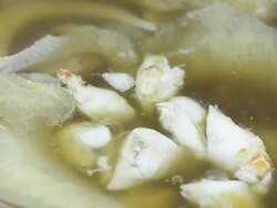 Shark fin soup Stock Footage