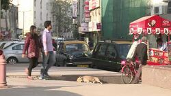 CLEAN : Mixed reactions over Uber ban in Delhi: vox pops News Clip