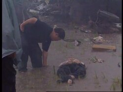 Cambodia - Aftermath of plane crash News Clip