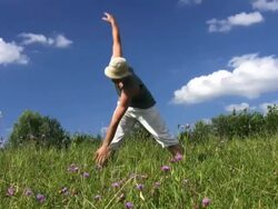 PAL: Gymnastics Stock Footage