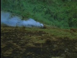 Deforestation in Indian rainforest Stock Footage