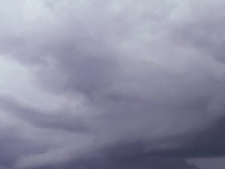 WS T/L TD View of sawn logs wIth clouds moving in sky / Darwin, Northen Territory, Australia Stock Footage
