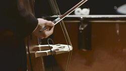 Musician playing double bass during concert Stock Footage