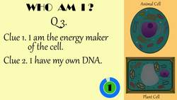 Cell Biology Quiz Instructional Video