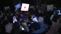 CLEAN: Obama supporters celebrate News Clip