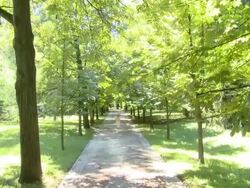 HD CRANE: Jogging In The Park Stock Footage
