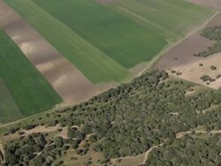 aerial view of alternating green and brown fields, giving way to bushland and to citrus plantations Stock Footage