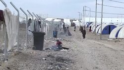 CLEAN : Mosul humanitarian crisis deepens as displacement peaks News Clip