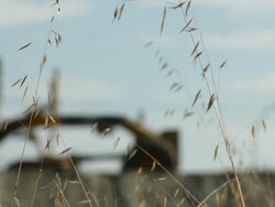 Grader in a Field Stock Footage