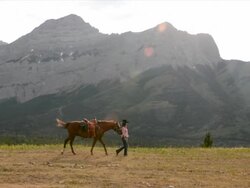 Woman leads horse across mountain meadow Stock Footage