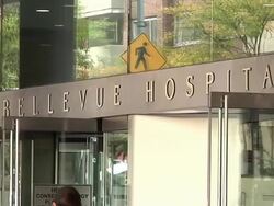 NYPD officers outside Bellevue Hospital, New York News Clip