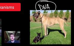 Evolution Continues Instructional Video