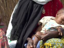 Charity is giving away Goats to the Poor News Clip