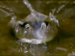 Water dropping into pool, Tabernas Desert, Andalucia, Spain Stock Footage