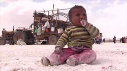 CLEAN : Syrians brave mines execution to flee IS in Raqa News Clip