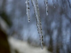 CU TU SLO MO Icicles dripping on natural background / Morristown , New Jersey, USA  Stock Footage