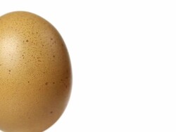 Egg with text space Stock Footage