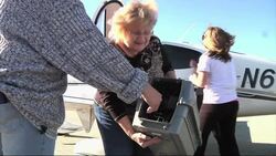 A retired Florida businessman is using his skills as a small plane pilot to rescue animals from overcrowded shelters and place them where they have a second chance at life. He recently transported his 3,000th animal. (Dec. 17) News Clip