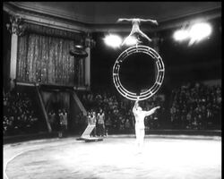 MOSCOW STATE CIRCUS News Clip