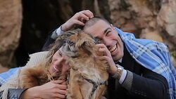 friendship of man and dog Stock Footage