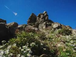 WS T/L LA Night skyscraper and rock of Jirisan mountain with wildflowers / Sancheong, Gyeongsangnamdo, South Korea Stock Footage