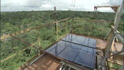 The sun shines over a wind gauge above the Amazon rainforest. Stock Footage