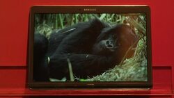 New tablet computers from Samsung will feature screens that are richer in color than standard LCDs. (June 13) News Clip