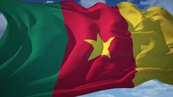 Cameroon Flag Stock Footage