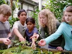 MS female botanist showing young students plants on tray in research greenhouse. Stock Footage