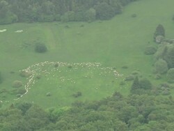 MS AERIAL ZO Shot of landscape with trees at Rhon / Germany Stock Footage