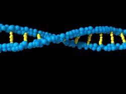 Blue-yellow dna Stock Footage