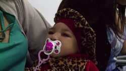 On the Frontline of Brazil's War with Zika - 'Instituto Estadual do Cerebro' Brazil's State Brain Institute Stock Footage