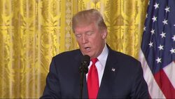 Trump Stands By Joe Arpaio Pardon News Clip