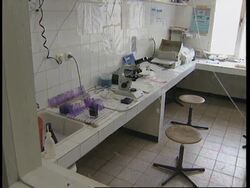 ZAIRE: WHO ESTIMATE THAT 1 IN 10 PEOPLE INFECTED WITH HIV News Clip