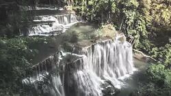 Forest waterfall Stock Footage