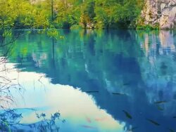 Beautiful lake Stock Footage