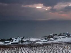 vineyard and lake in winter Stock Footage