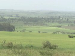 Pan across African farmland, Kenya Stock Footage