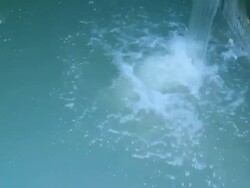 dirty Water Stock Footage
