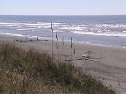 Beach #08 Stock Footage