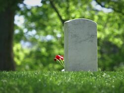 Arlington National Cemetery in Spring Single Grave with Flower Stock Footage