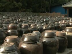 MS PAN Shot of korean crocks for soy sauce or other condiments in Damyang gun village / Damnyanggun, Jeollanam do, South Korea Stock Footage