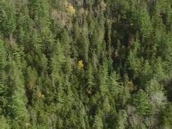 WS ARIEAL View of Small spring in forest /Maine, United States Stock Footage