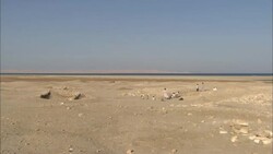 Archaeologists explore the sparse remains of Berenike, Egypt. Stock Footage