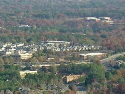 WS AERIAL View of trees and houses / North Carolina, United States Stock Footage